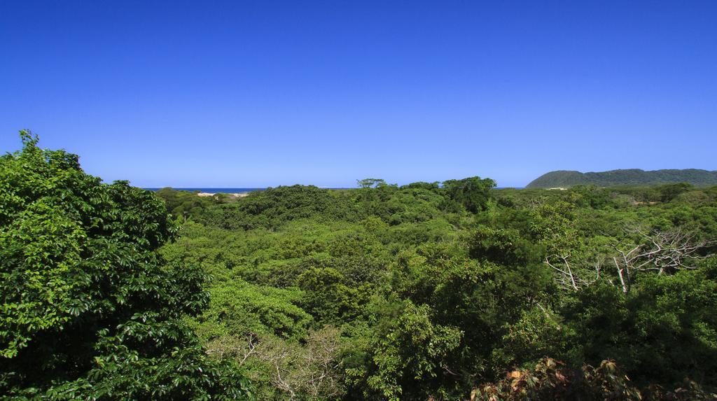 St Lucia Eco Lodge Exterior foto